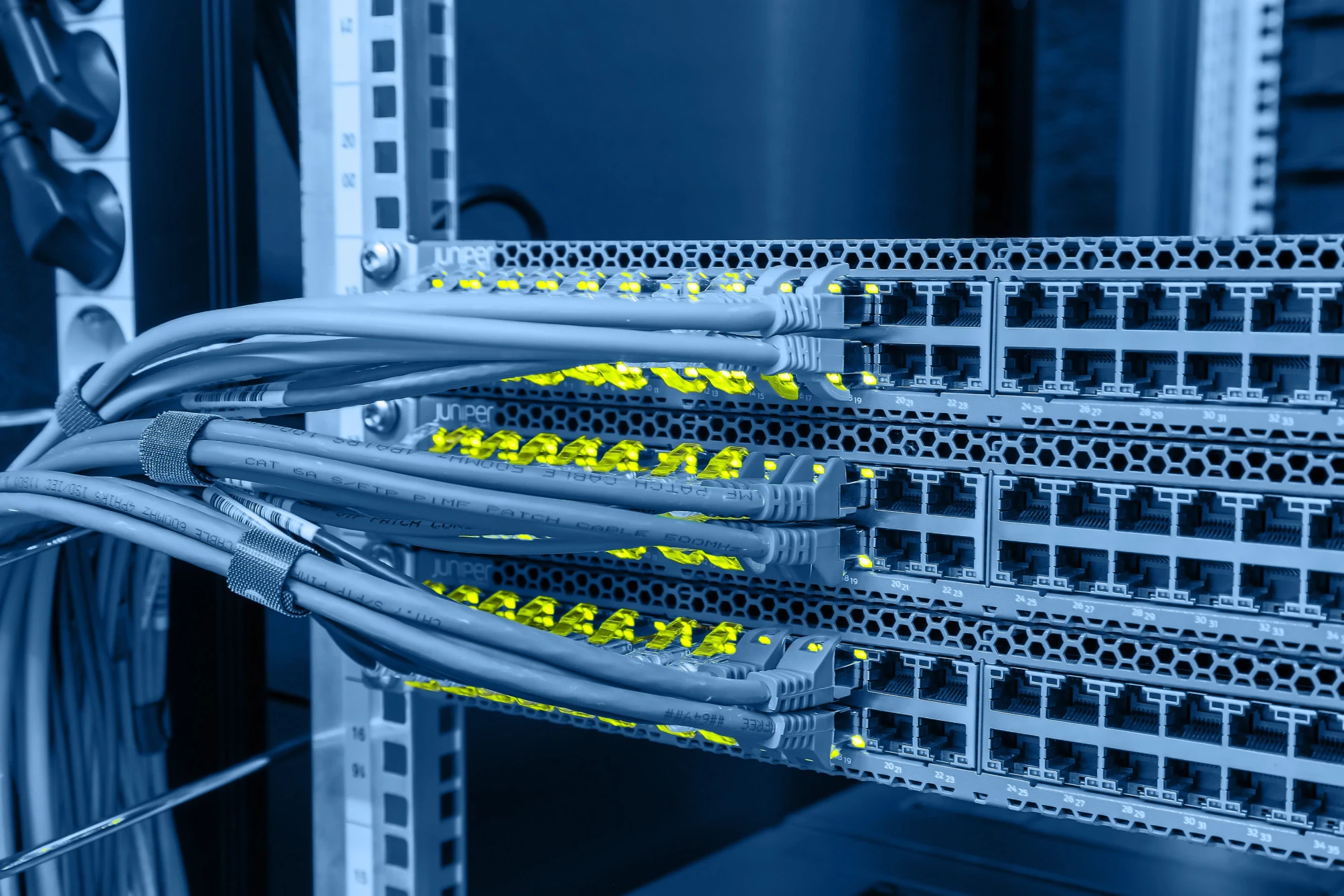Ultimate Server Hosting Solutions